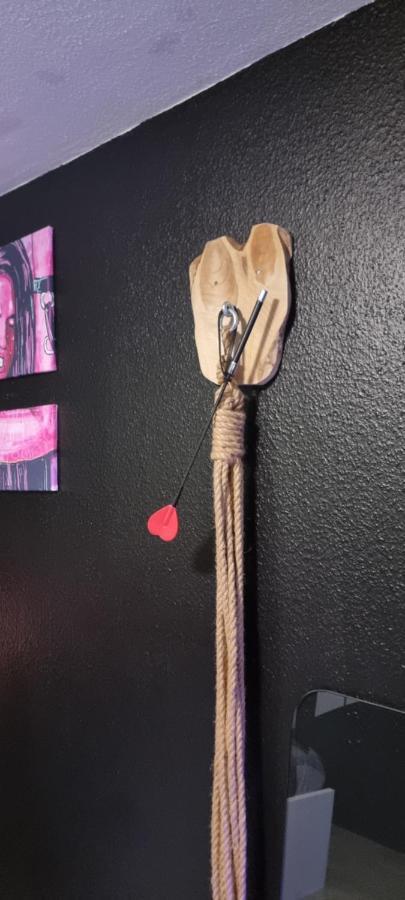 Apartamento Le Coin Des Desirs Bdsm Estrasburgo Exterior foto